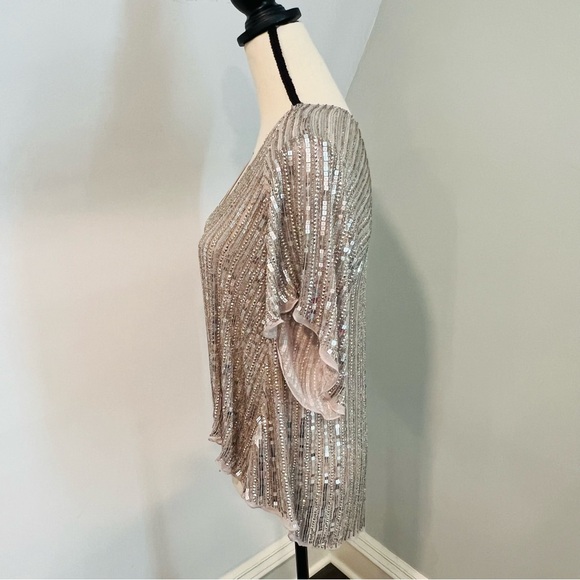 - Parker Silver Sequin Beaded  Blush Silk Blouse L - Picture 3 of 12